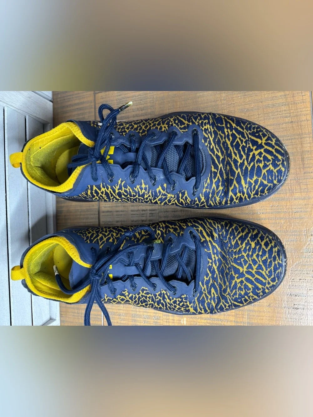Jordan Trainer 1 Low Michigan Wolverines Mens Size 13 College Navy Yellow GUC